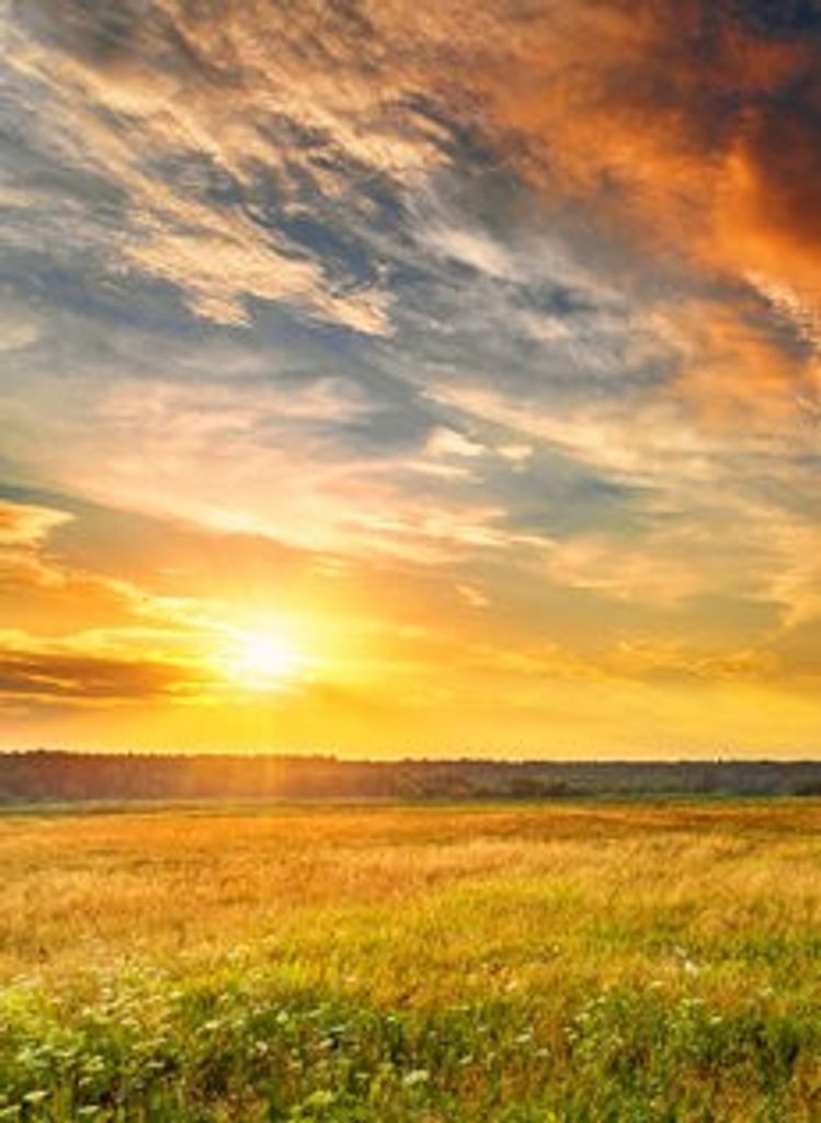 Vickie L. Shackles Profile Photo