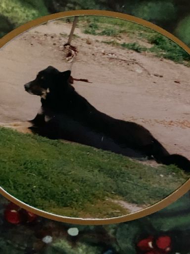 April Marlene (Case)  Slisher photo gallery thumbnail 13 of 36