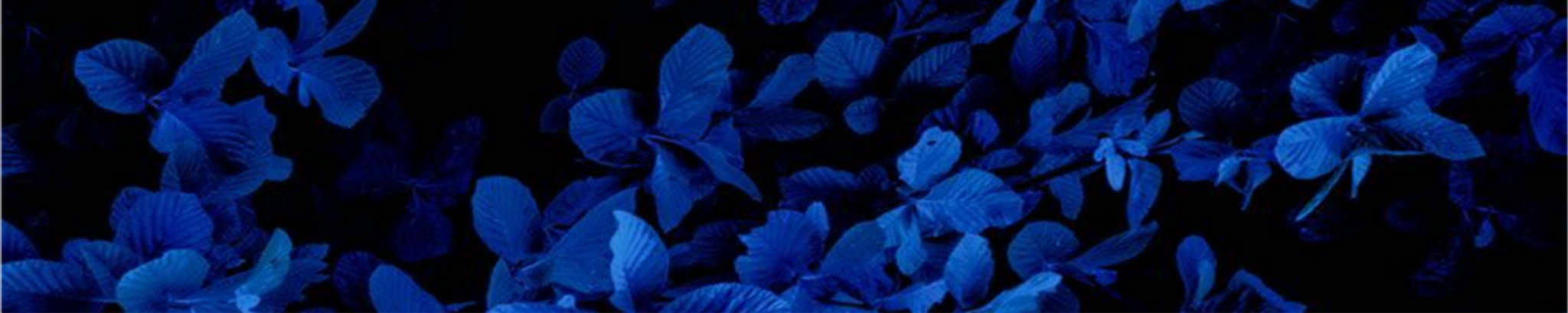 Cover for Romona D. Ratliff's Obituary