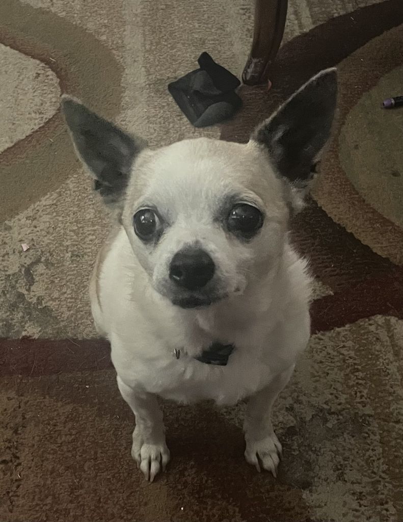 Chloe Profile Photo