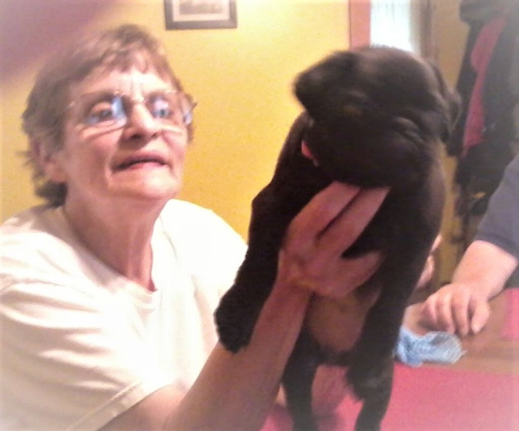 Joanne Virginia Dean