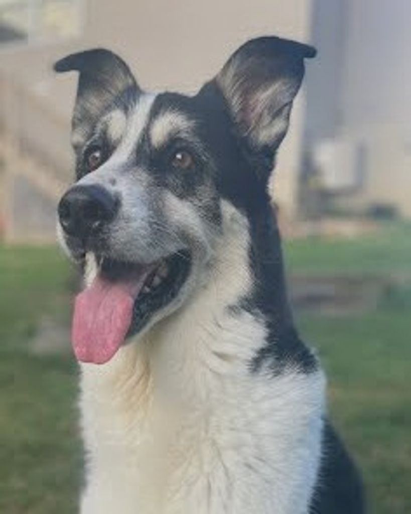 Mason Bleier Profile Photo