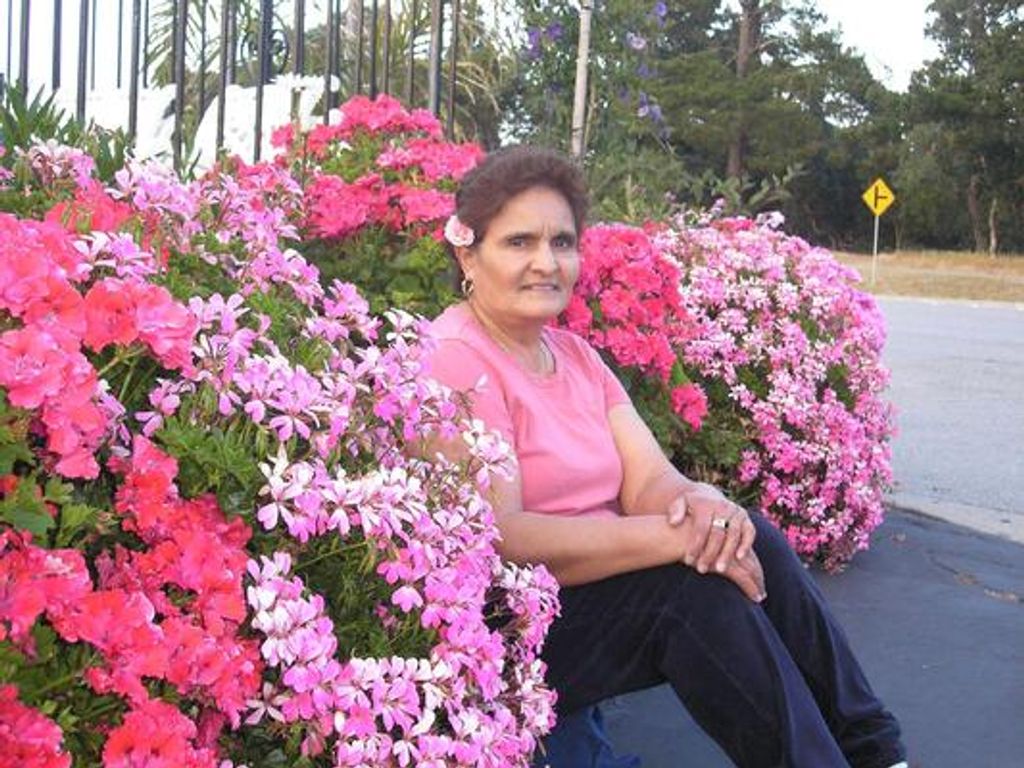 Berta Alicia Serrano Profile Photo