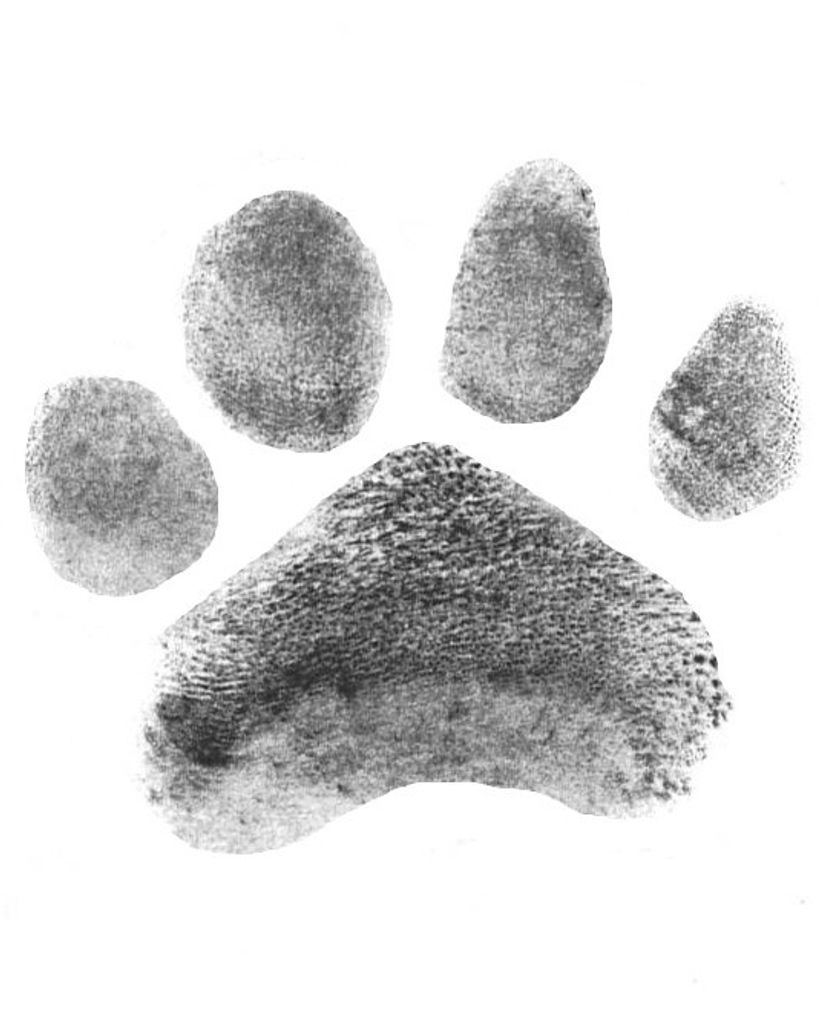 Ellie Mae Parker Profile Photo