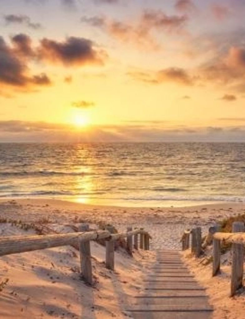 Tammy Barnes Profile Photo