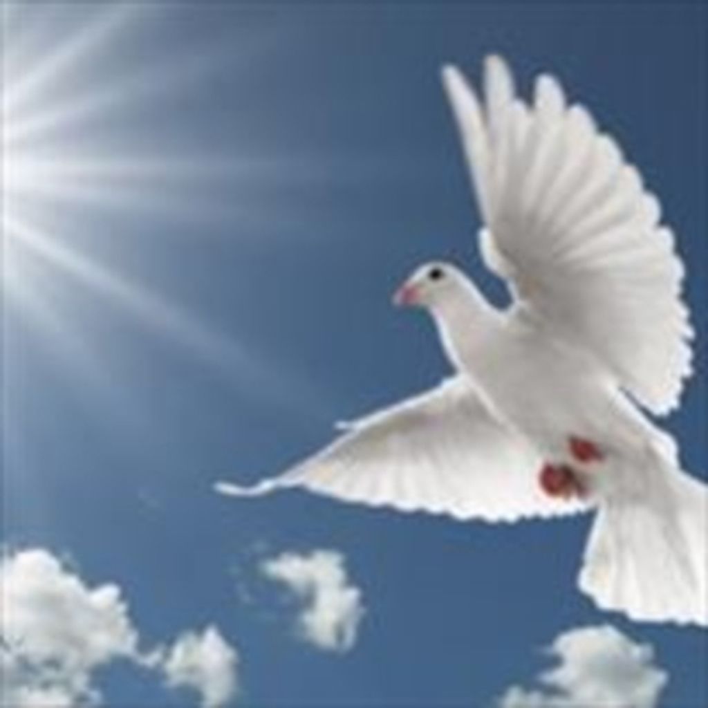 Doris B. Morea Profile Photo