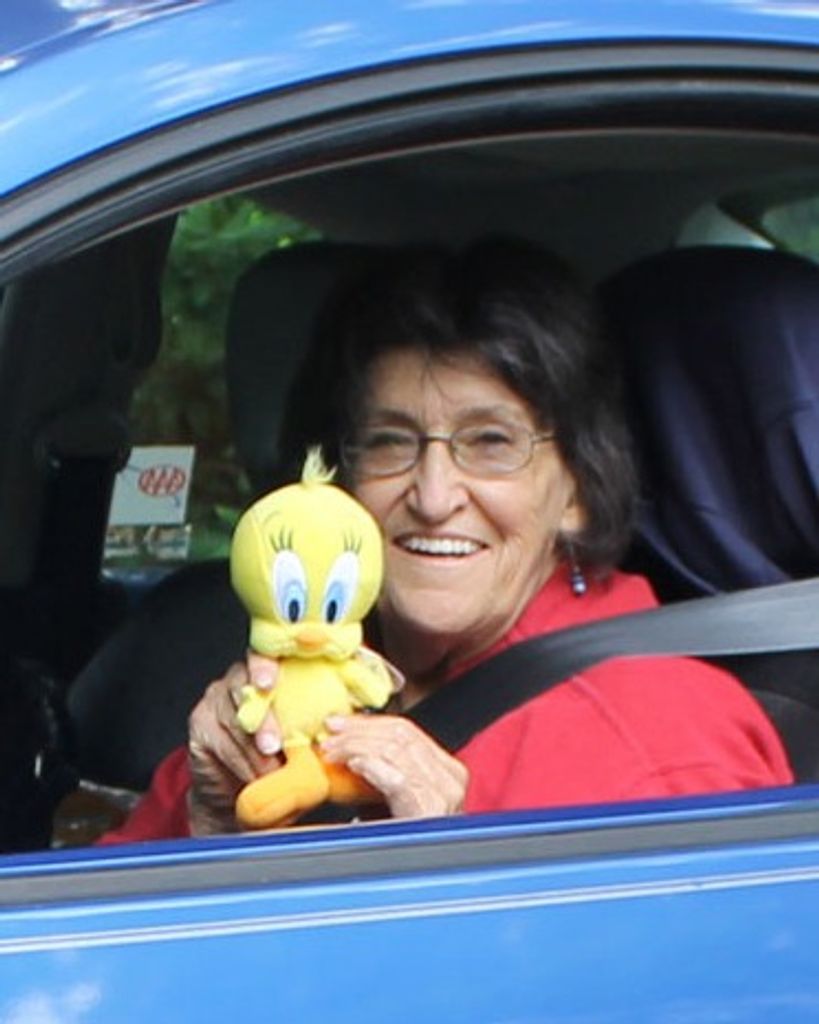 Elaine J. Hackett