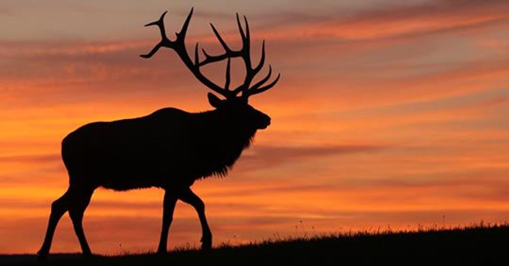 Robert Carl Hockenberry