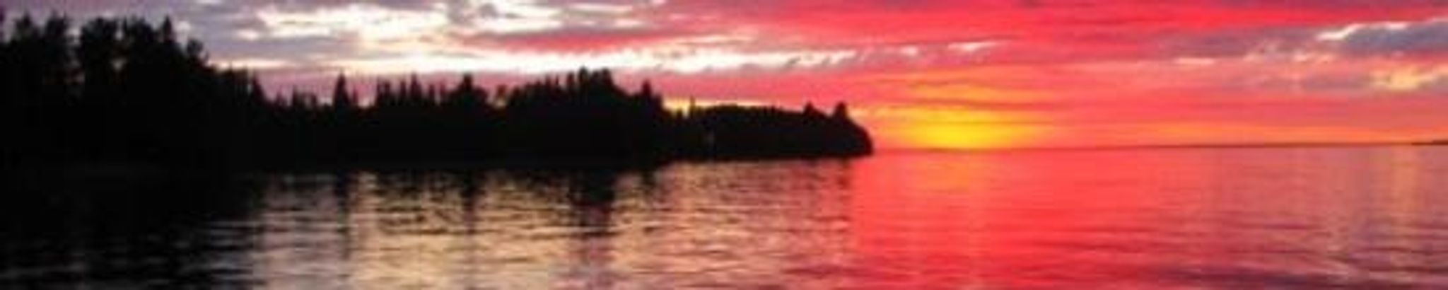 Cover for William James Nellis's Obituary