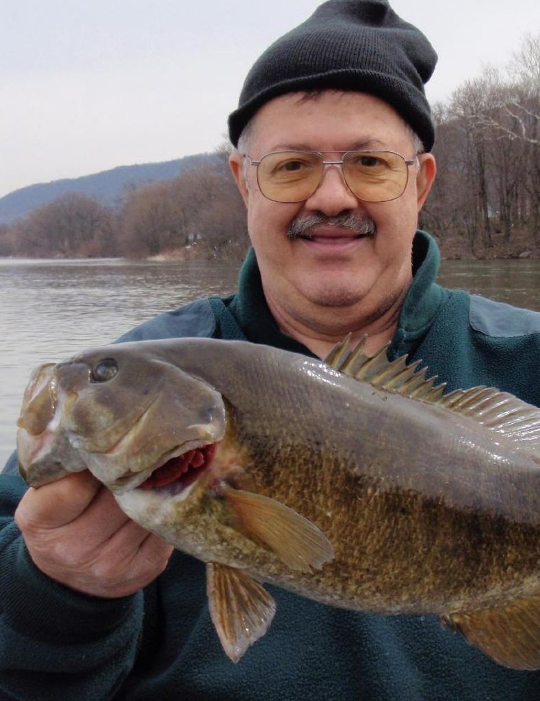 Ronald A. Viglianti Profile Photo