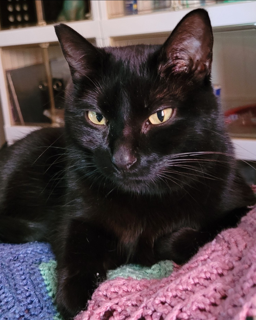 Harley Barket Profile Photo