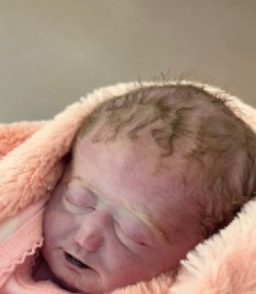 Magnolia Nicole Hill Profile Photo