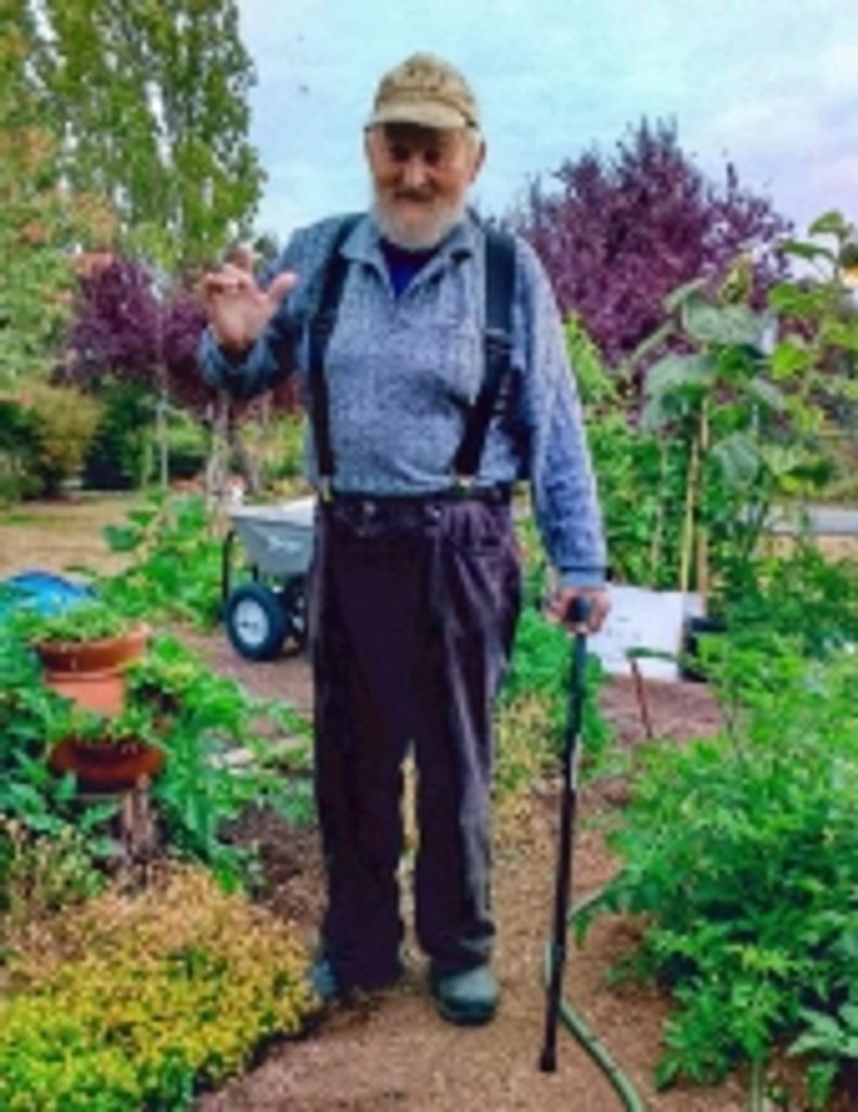 Victor Leo Marks