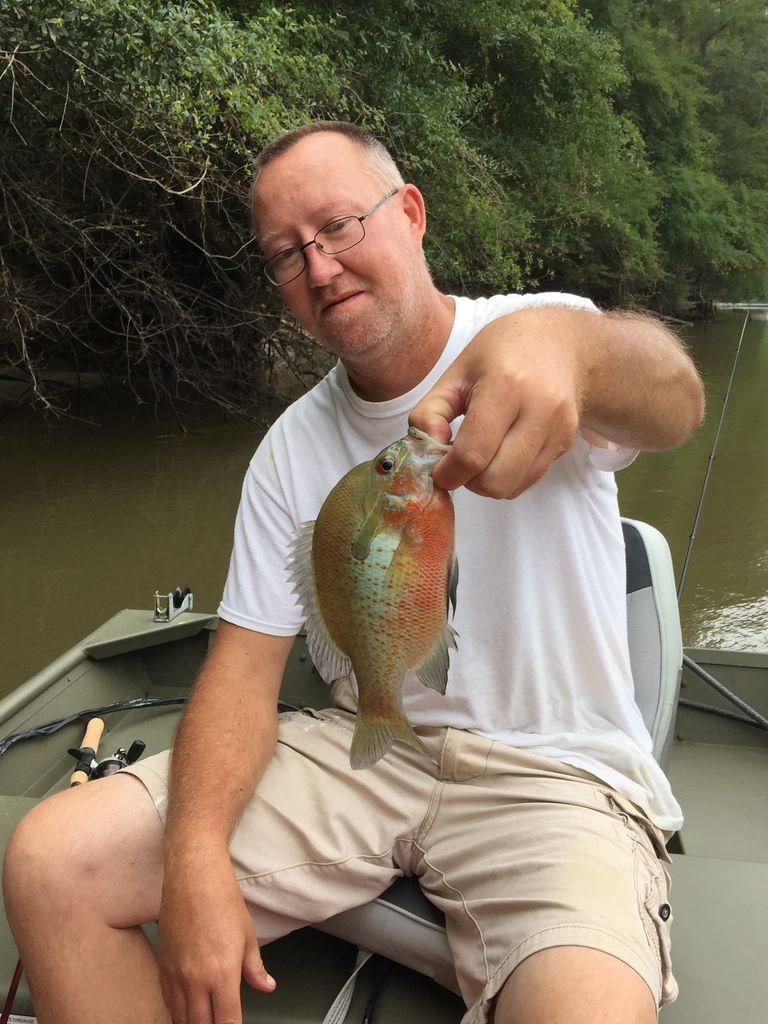 Timothy Mark Purvis