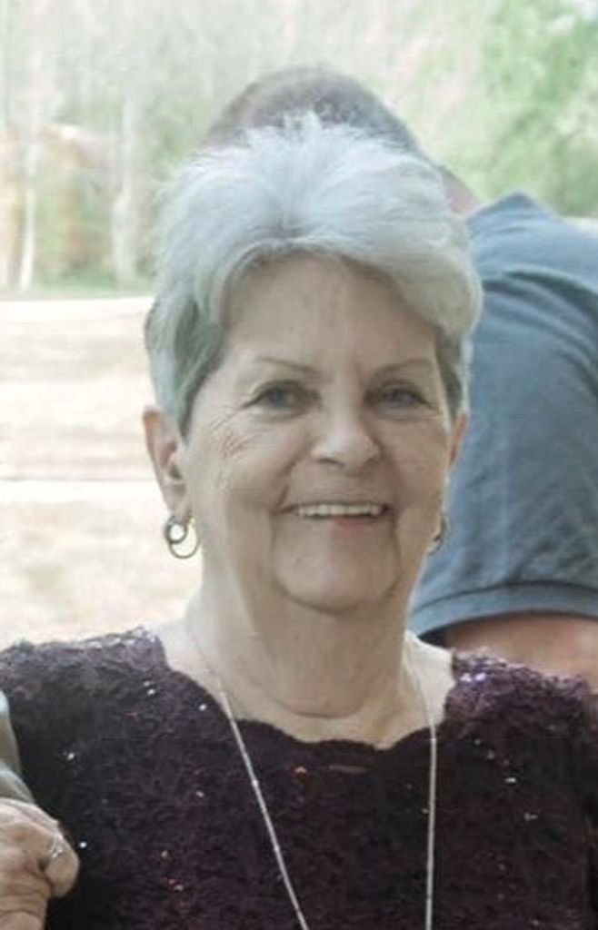 Sandra Lynn (Mecham)  Kamp Profile Photo