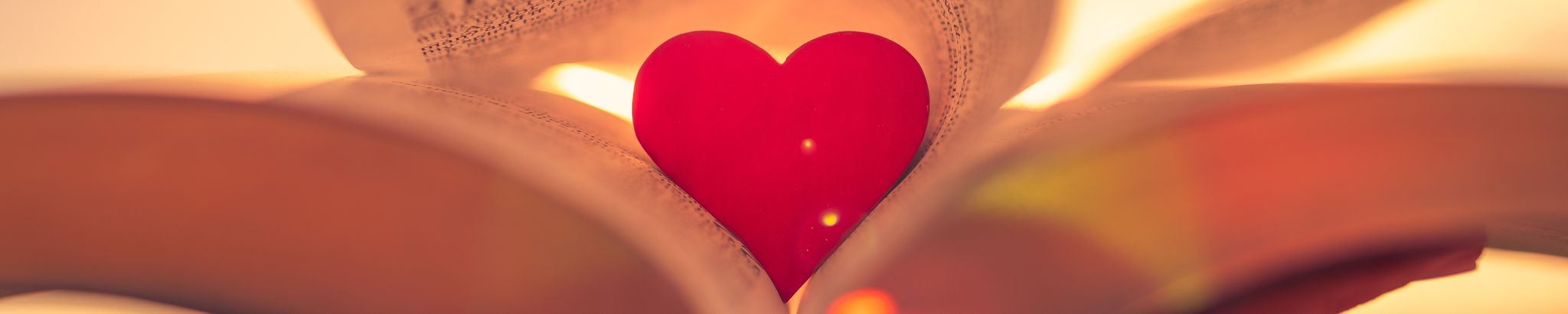 Cover for Dorothy Jean Ristich's Obituary