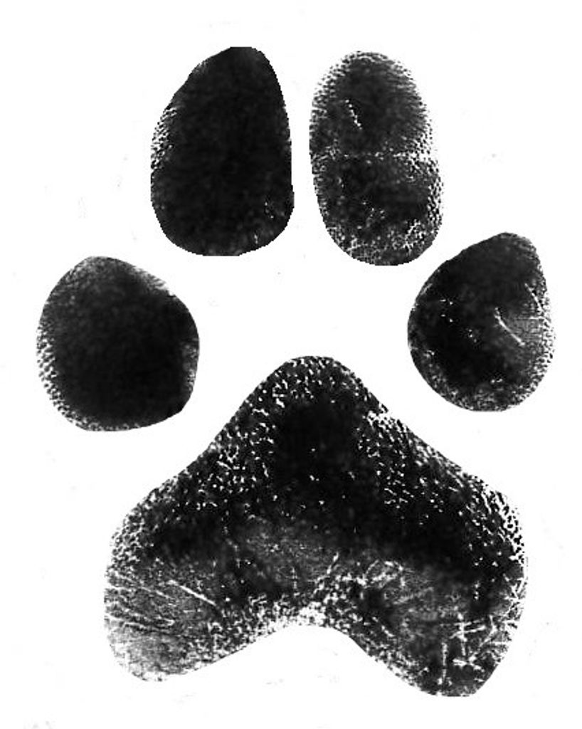 Cooper Hristov Profile Photo