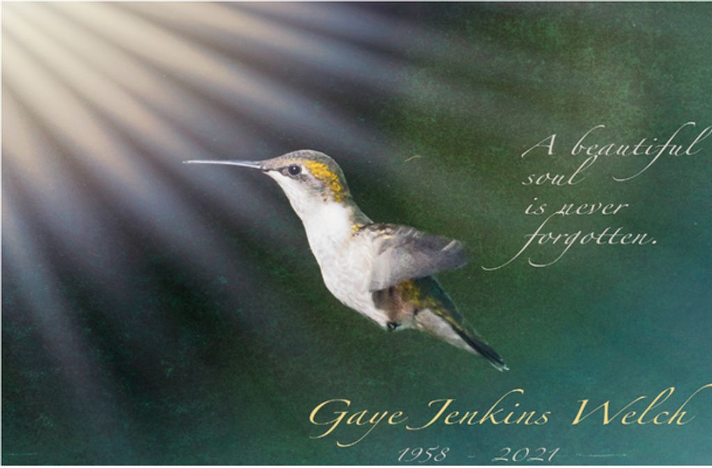 Sandra Gaye Jenkins Welch