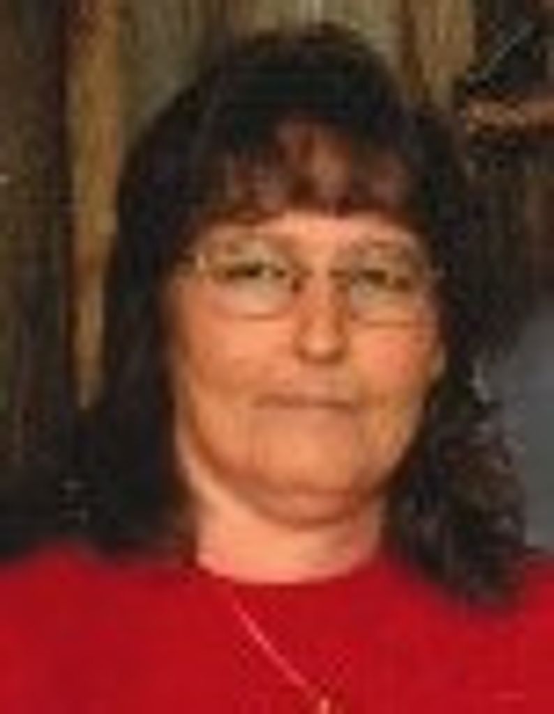 Marcia Ann (Phillips)  Johnson Profile Photo