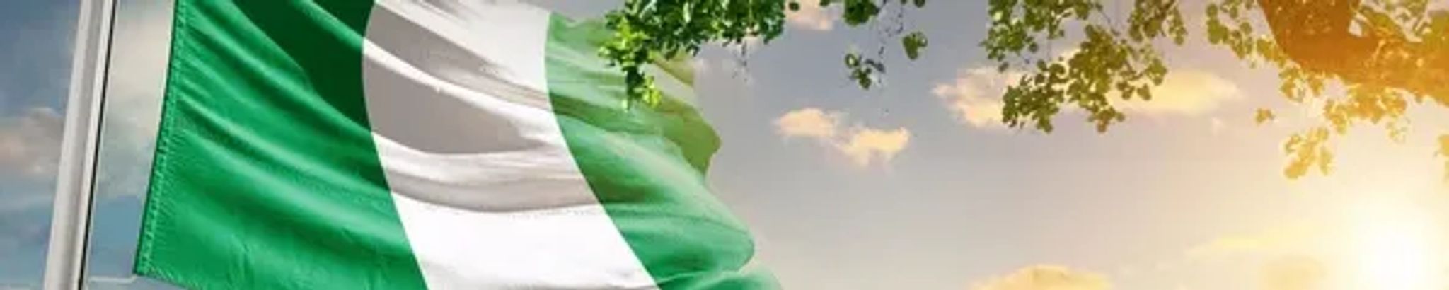 Cover for Ifeanyi Simeon Umeobi's Obituary
