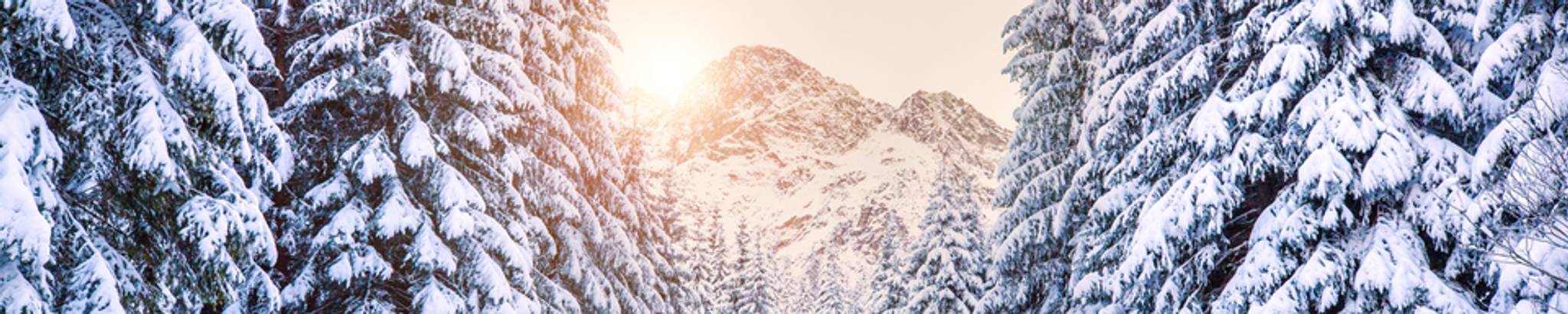 Cover for James Lee Taylor's Obituary