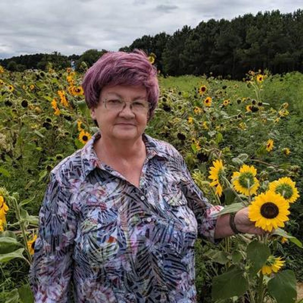 Karin C. Lang Profile Photo
