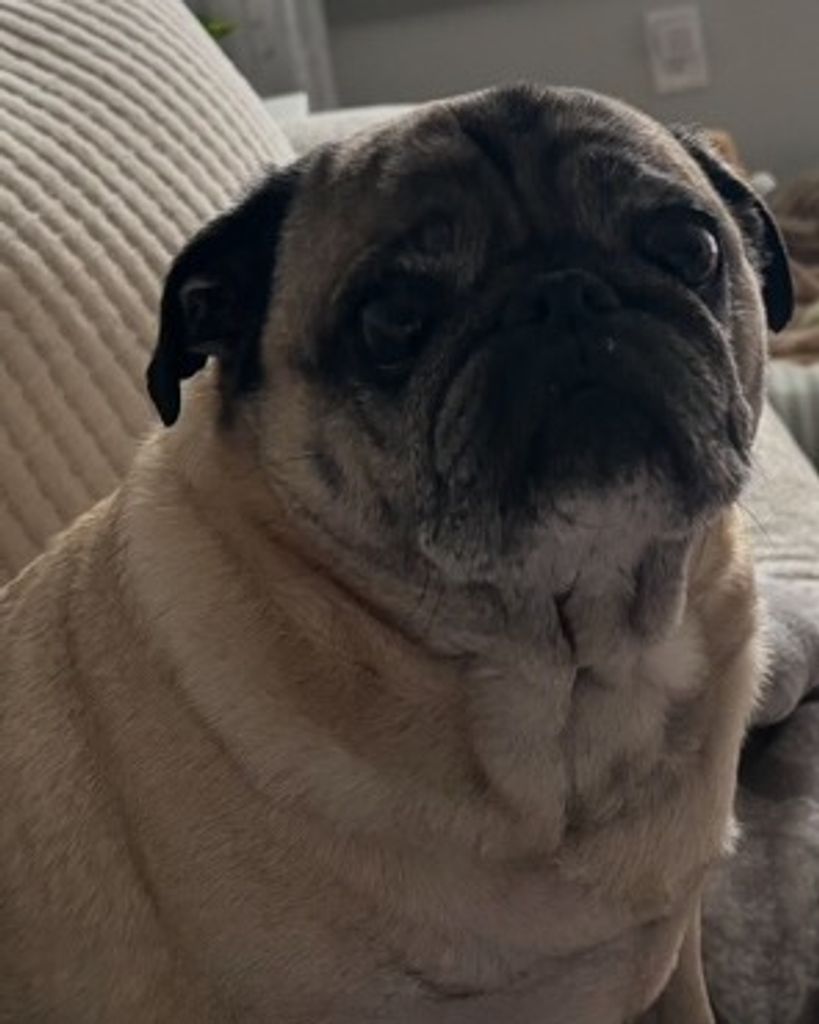 Milo Young Profile Photo
