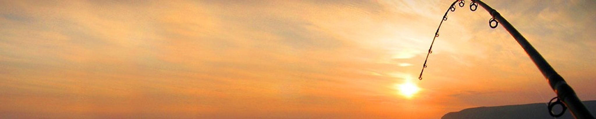 Cover photo for Marie Alice Lammers's Obituary