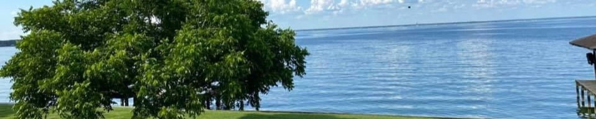 Cover photo for Sherri Lynn Bertelsen's Obituary