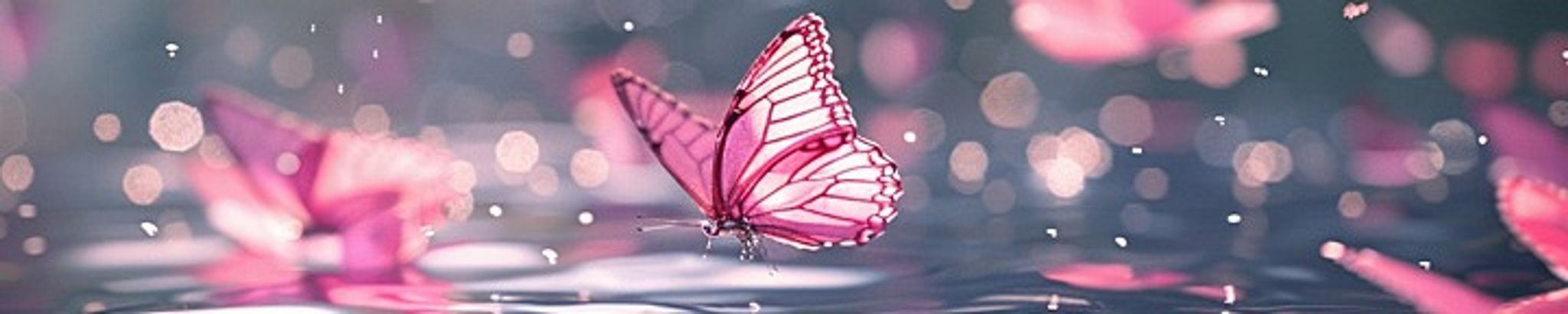 Cover for LaToya Pearil Williams's Obituary