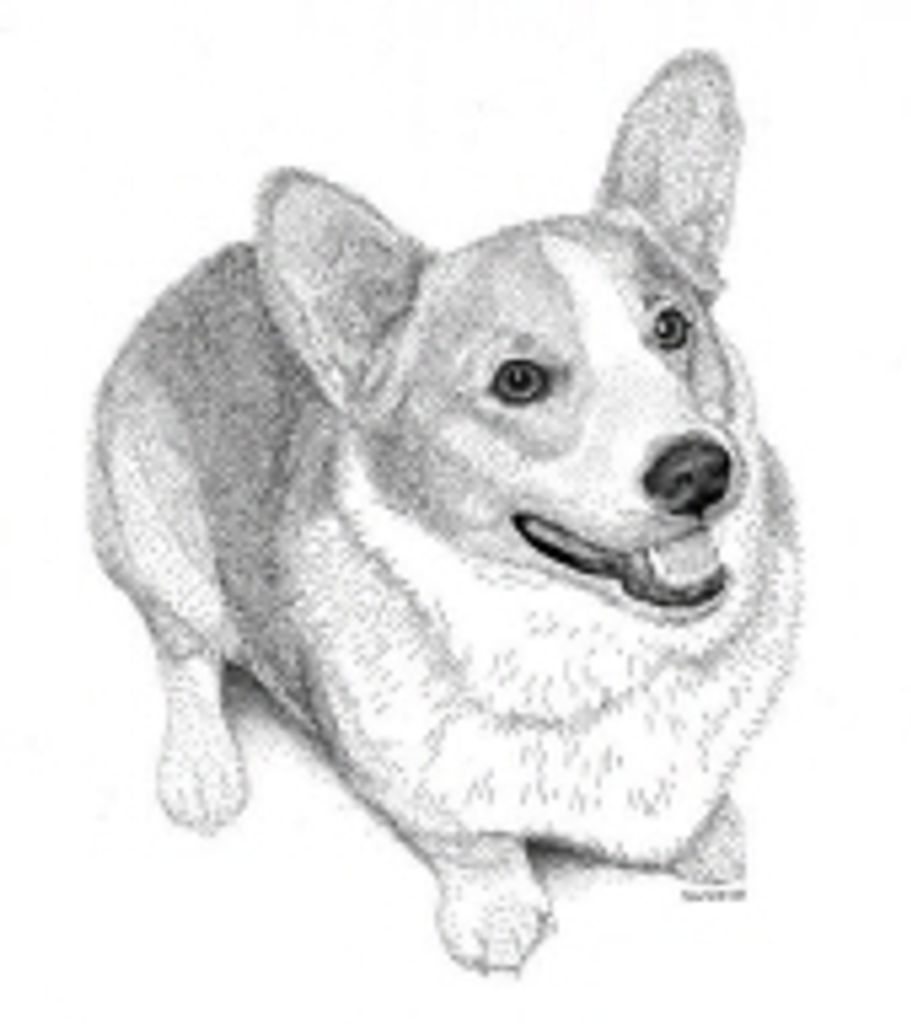 Riley Paull Profile Photo