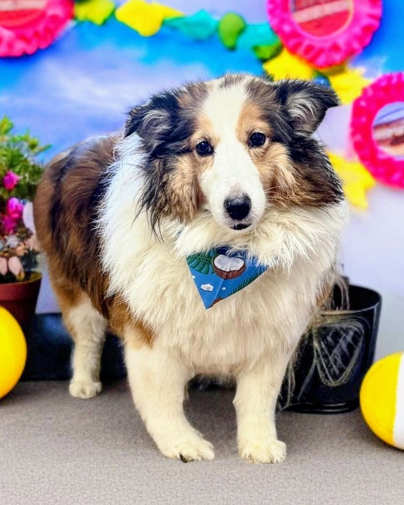 Rex Rosenau Profile Photo