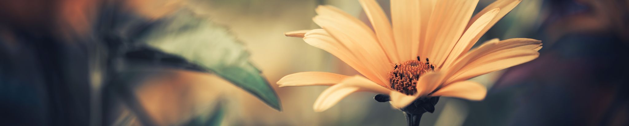 Cover photo for Gwenda Keller's Obituary