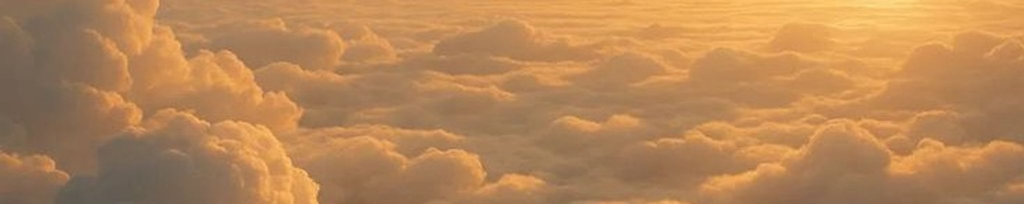 Cover for Louise Lewis's Obituary