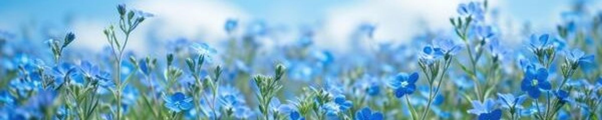 Cover photo for Annie Doris Howell's Obituary