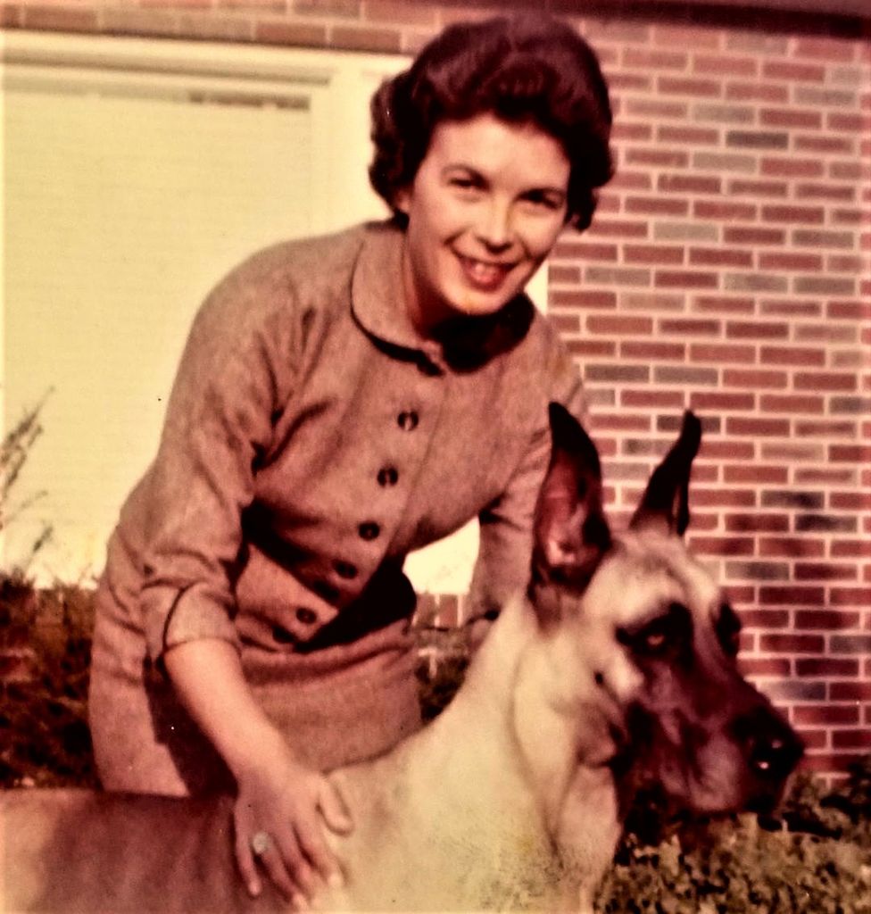 Elizabeth J. Brenner