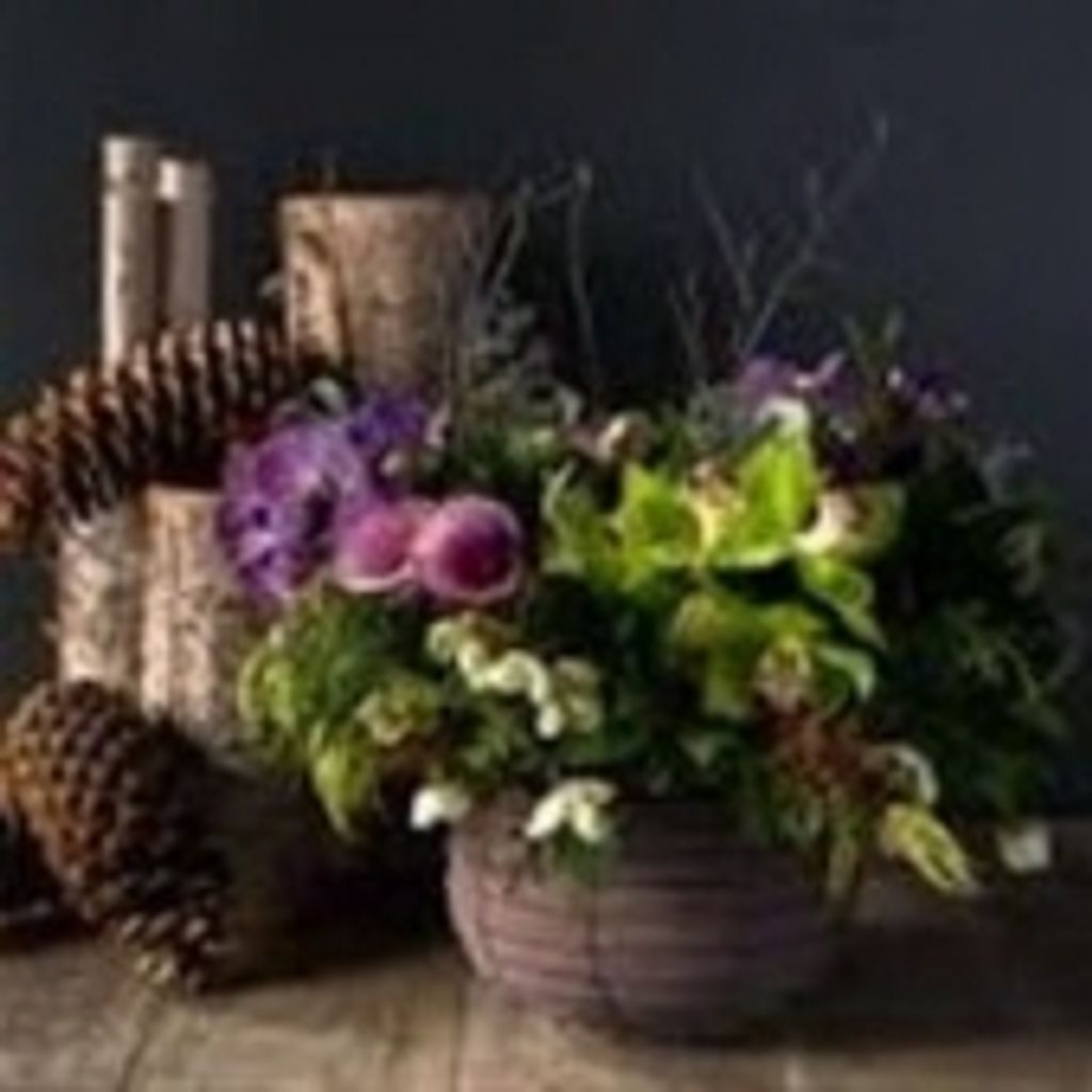 Carol Catherine Hibbard