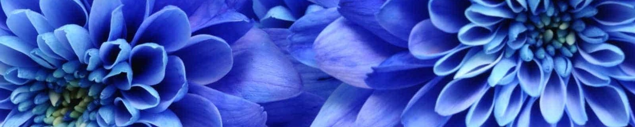 Cover photo for Joyce Cupp's Obituary