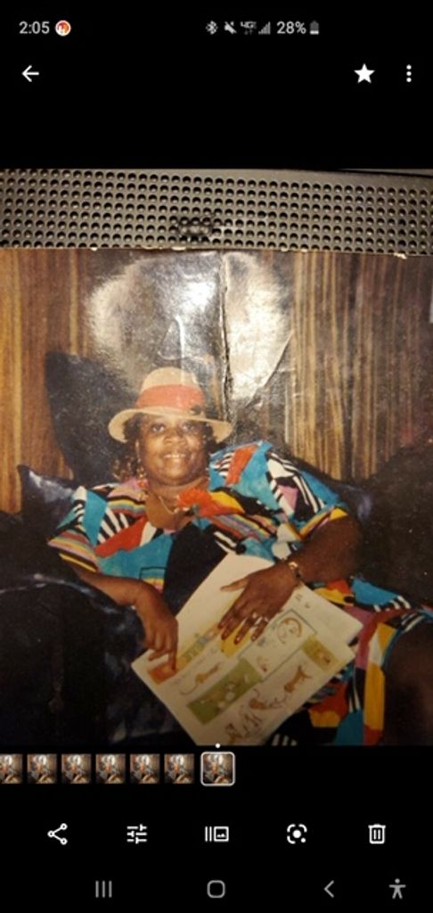 Ilene Williams Profile Photo