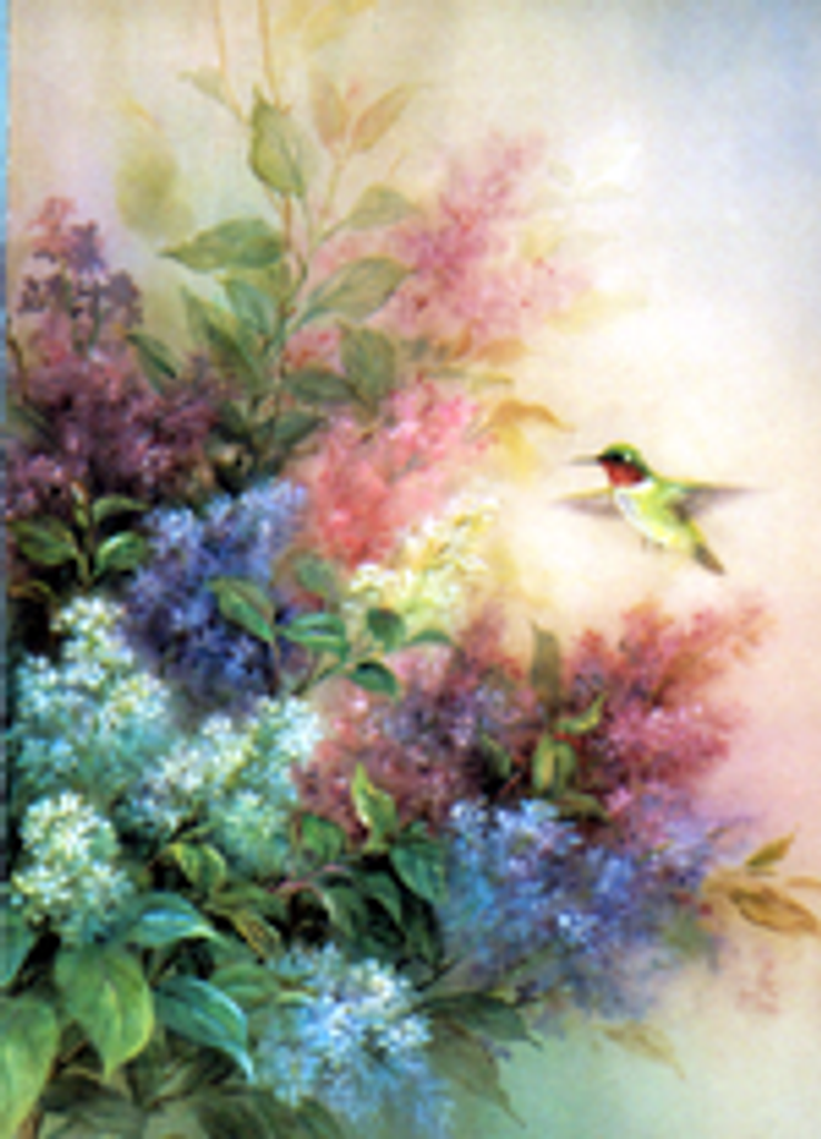 Ava Vievia Montgomery Profile Photo