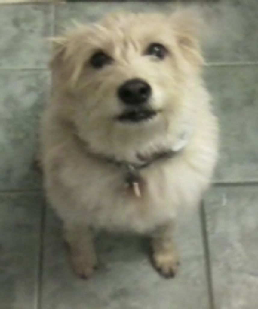 Lilly Bytwerk Profile Photo