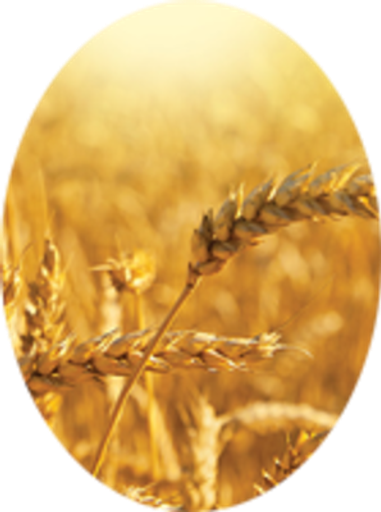 Kathy Marie Dehart Profile Photo