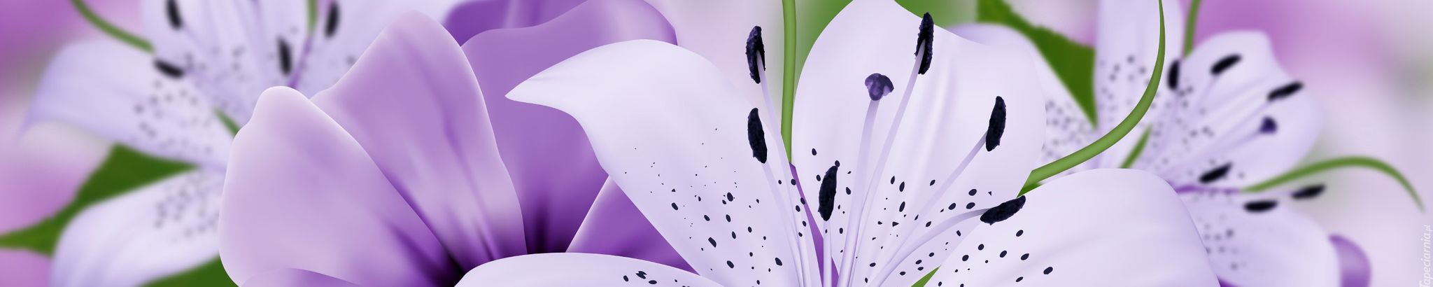 Cover for Carmen Elizabeth Blake-Ferdinand's Obituary