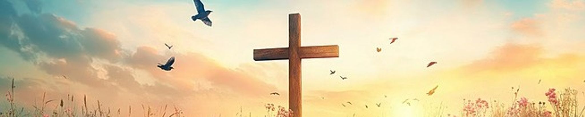 Cover for Virginia L. Engborg's Obituary