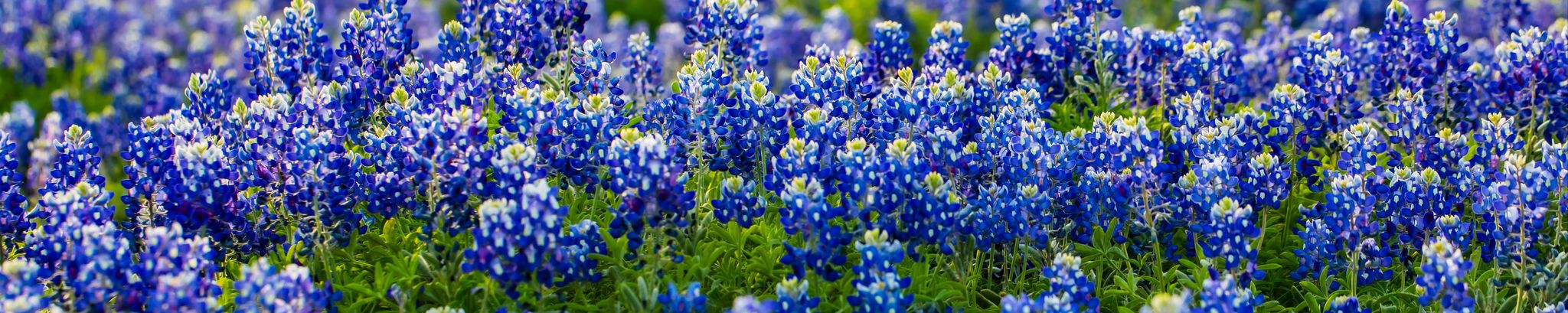 Cover photo for Marla Turner's Obituary