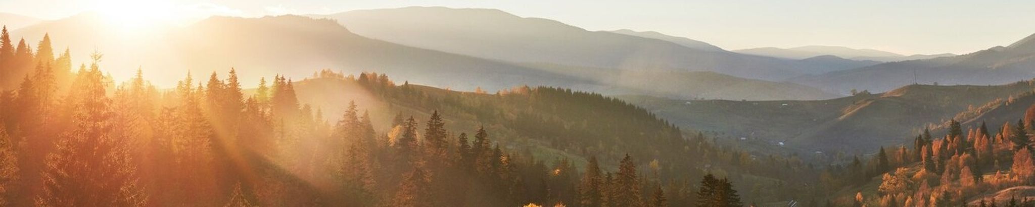 Cover photo for Frank Kamstra's Obituary