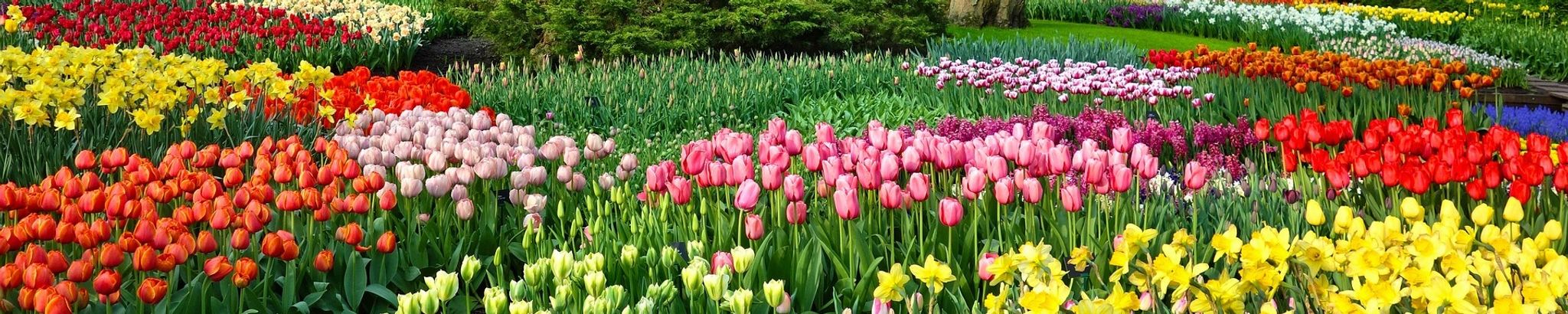 Cover for Frances "Judy" Louise Heims's Obituary