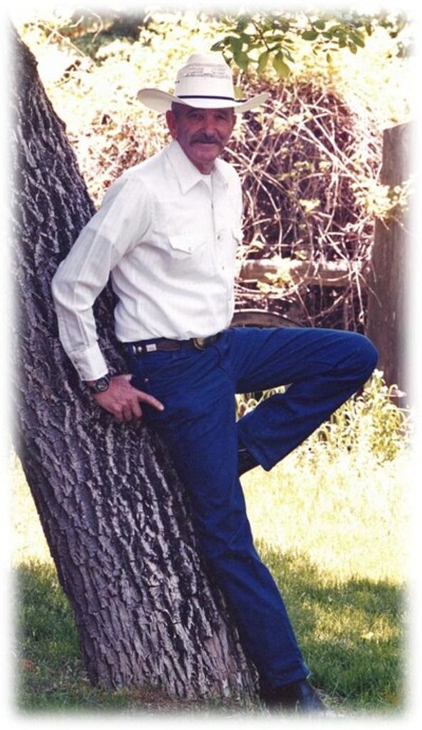 David Anderson Mcfarland