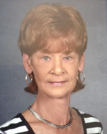 Janet Louise Schmidt Halleran's obituary image