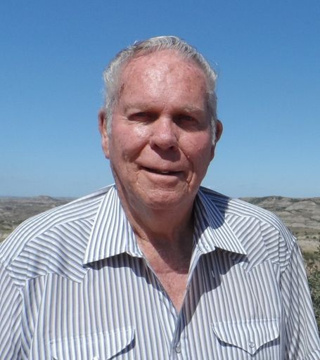 Allen T. Myrvik Profile Photo